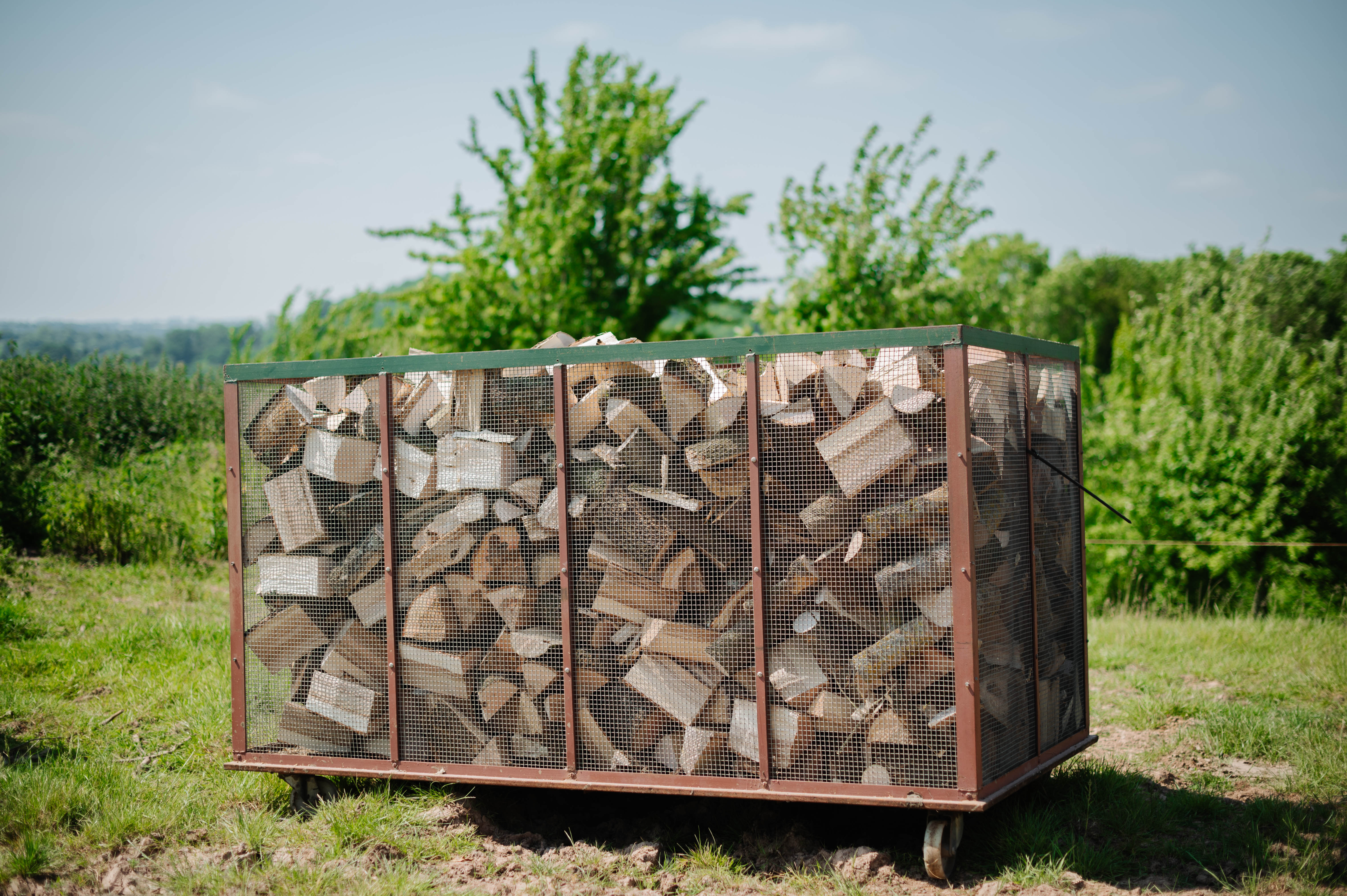 Hardwood logs stacked neatly