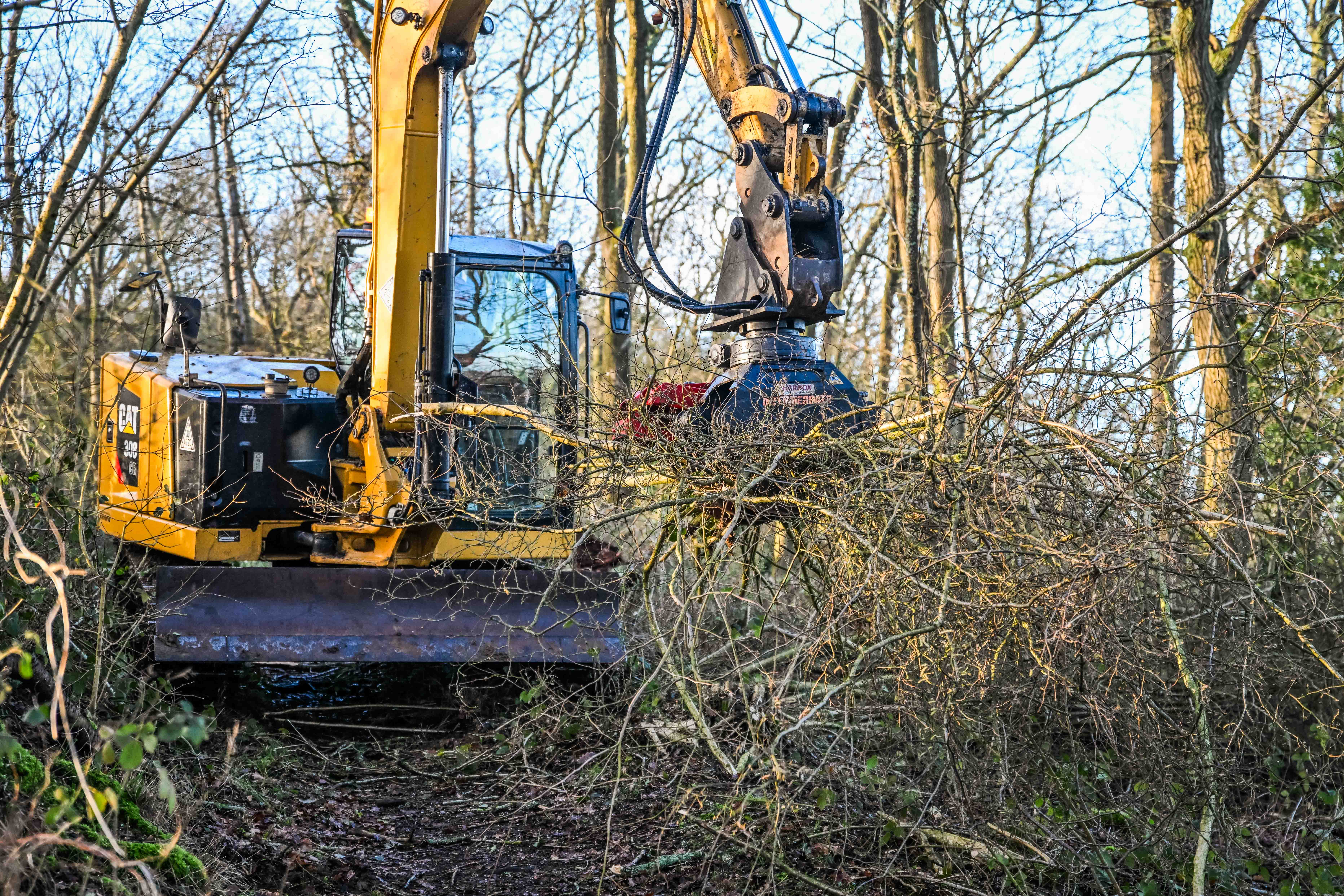 Woodland clearance in progress
