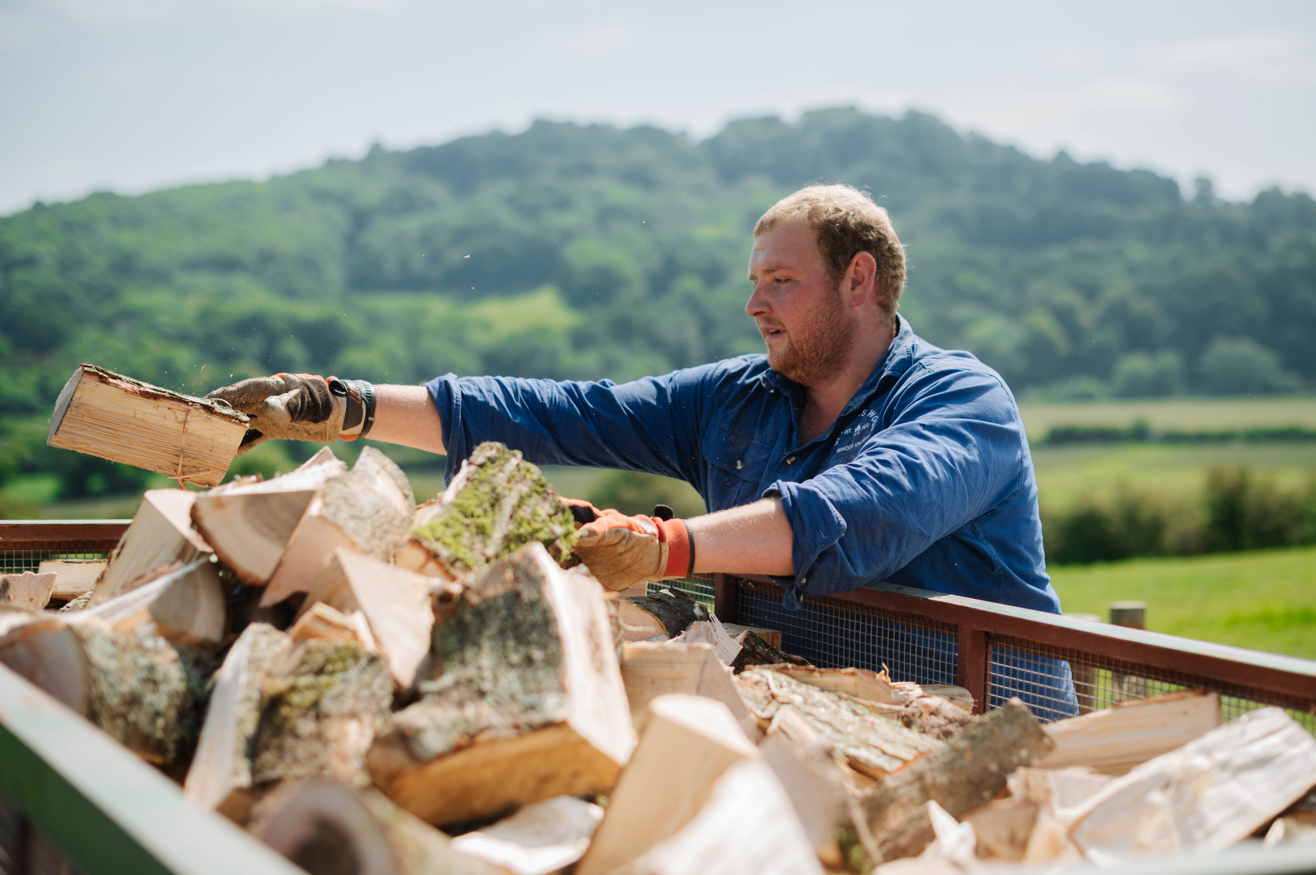 Bag of kindling wood